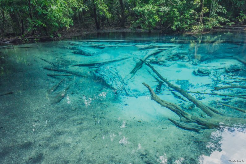 Голубое озеро Emerald Pool с упавшими стволами под водой, Краби