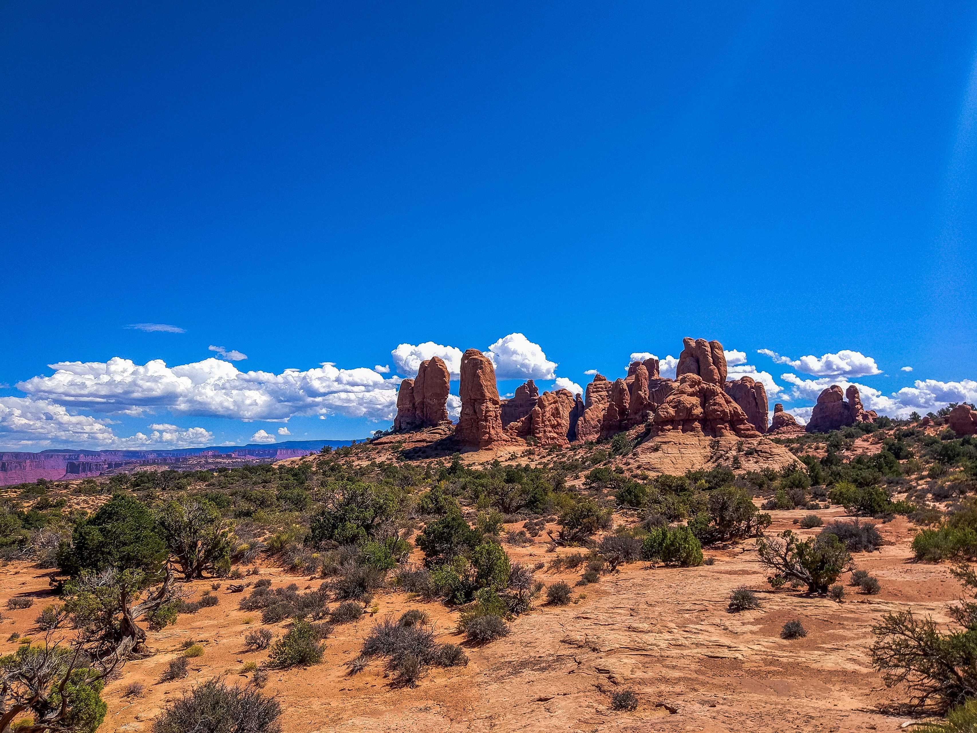 Красные скальные столбы на горизонте среди кустарников, парк Арчес