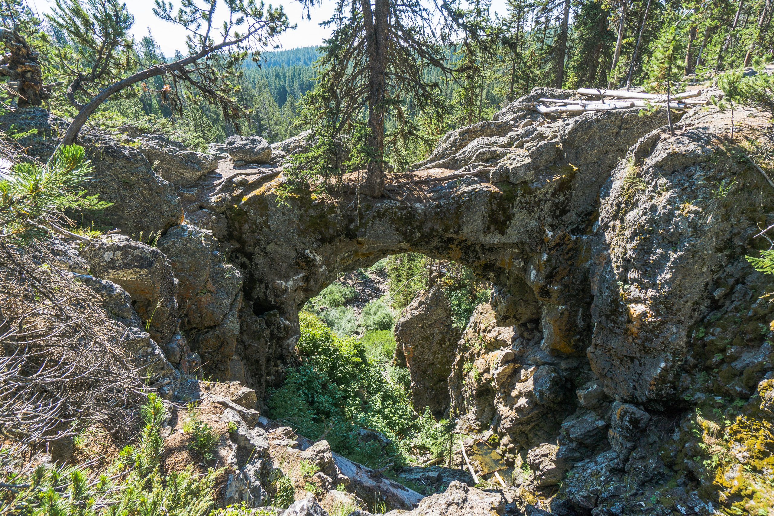 Естественная каменная арка в сосновом лесу, Гранд-Титон