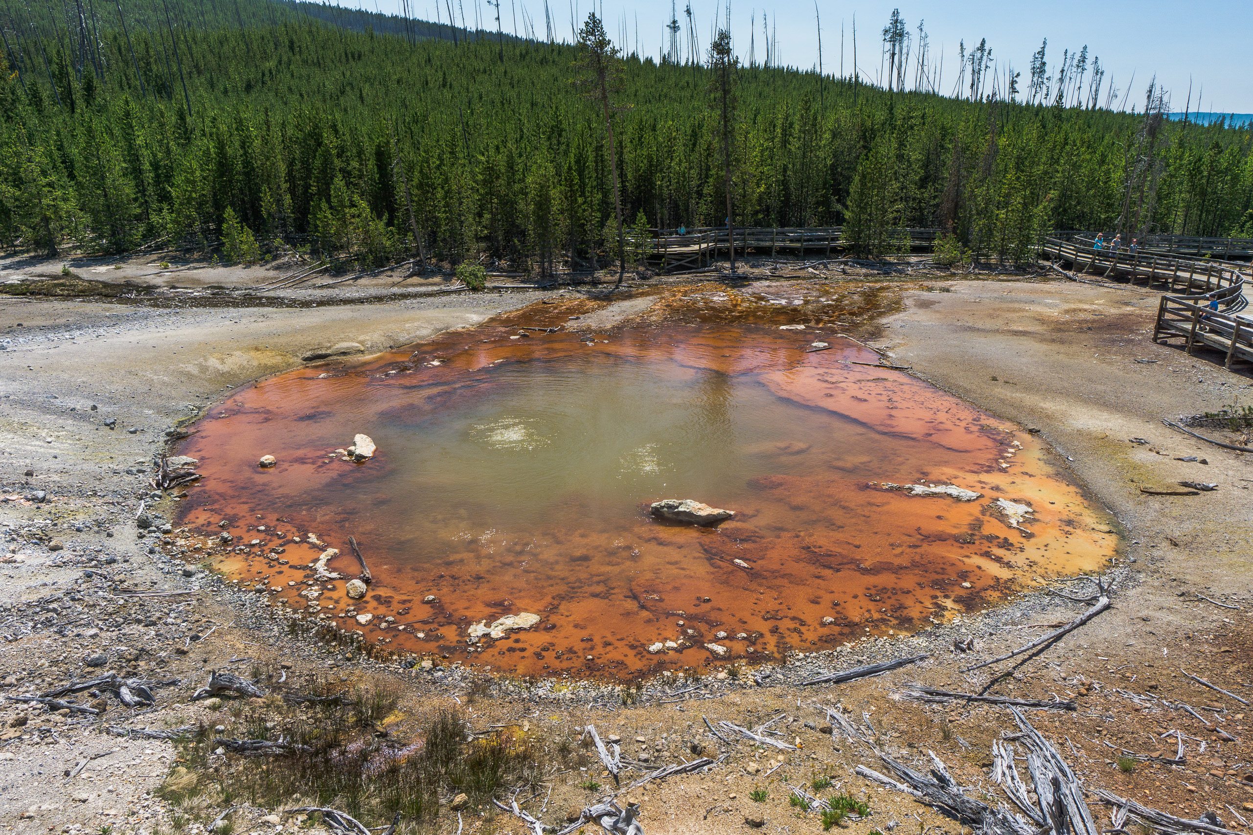 Источник с рыжей водой и деревянной дорожкой на краю леса, Йеллоустон