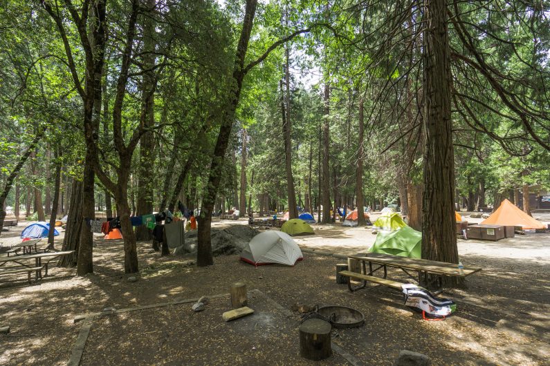 Палатки и столы под соснами на кемпинге Camp 4, Йосемити