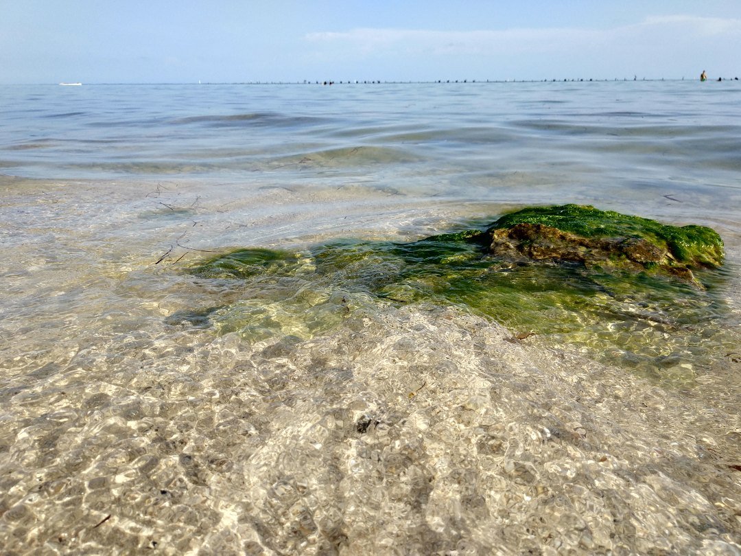 Прозрачная мелкая вода над светлым дном, камень, поросший зелёными водорослями